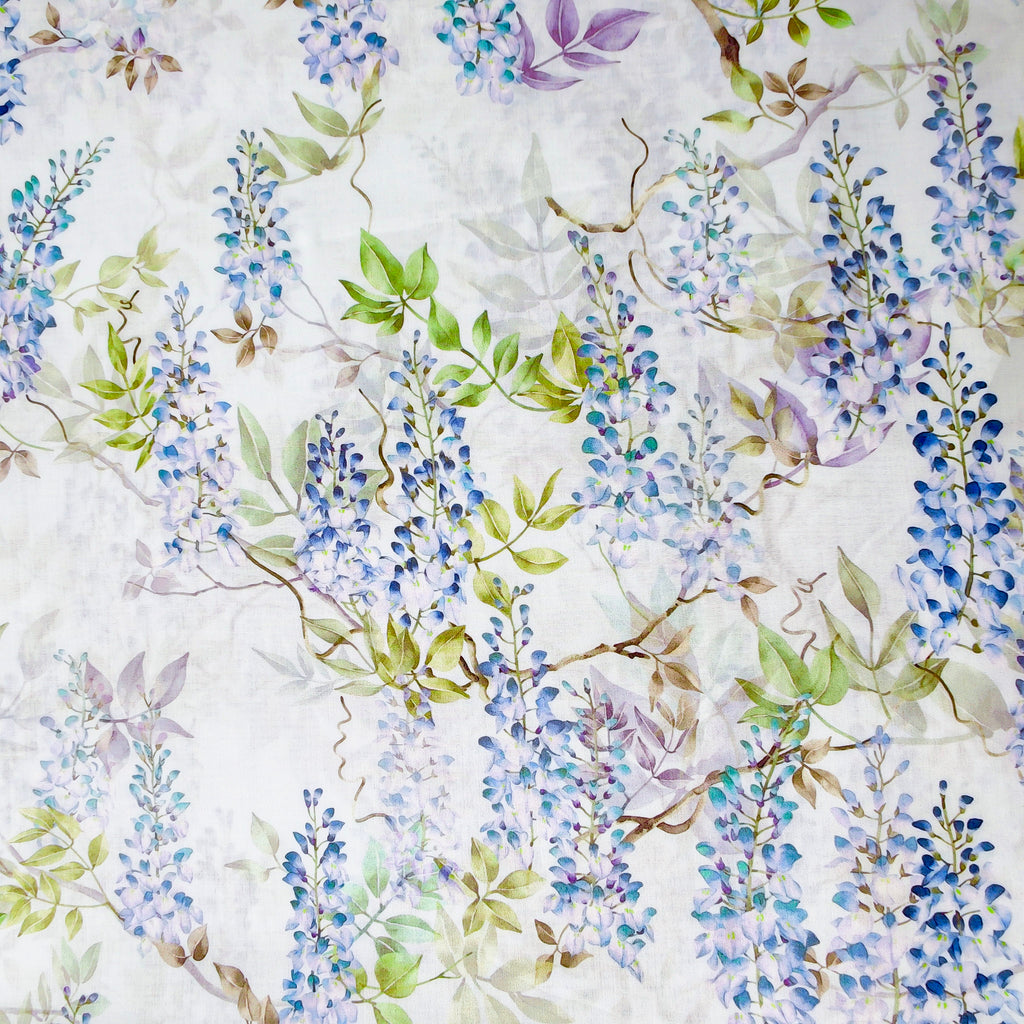 Wisteria Dream