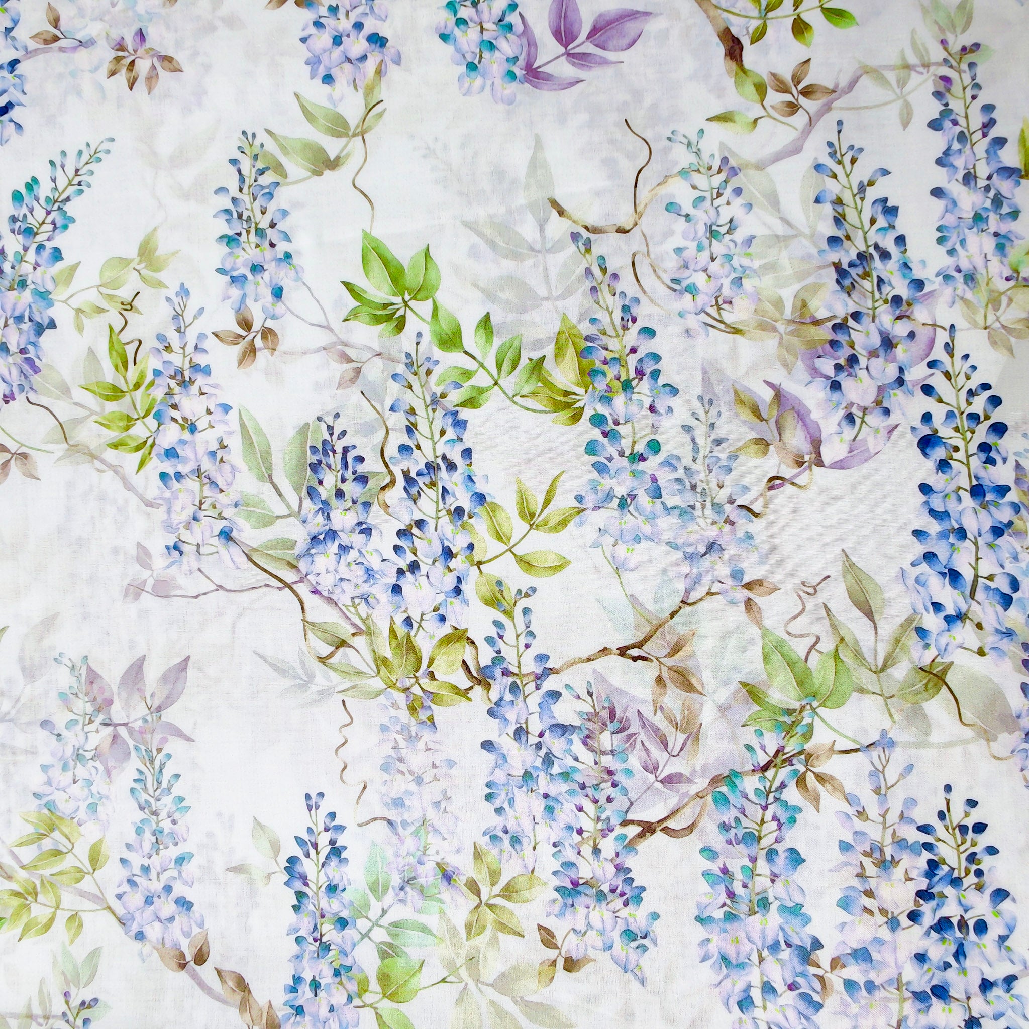 Wisteria Dream
