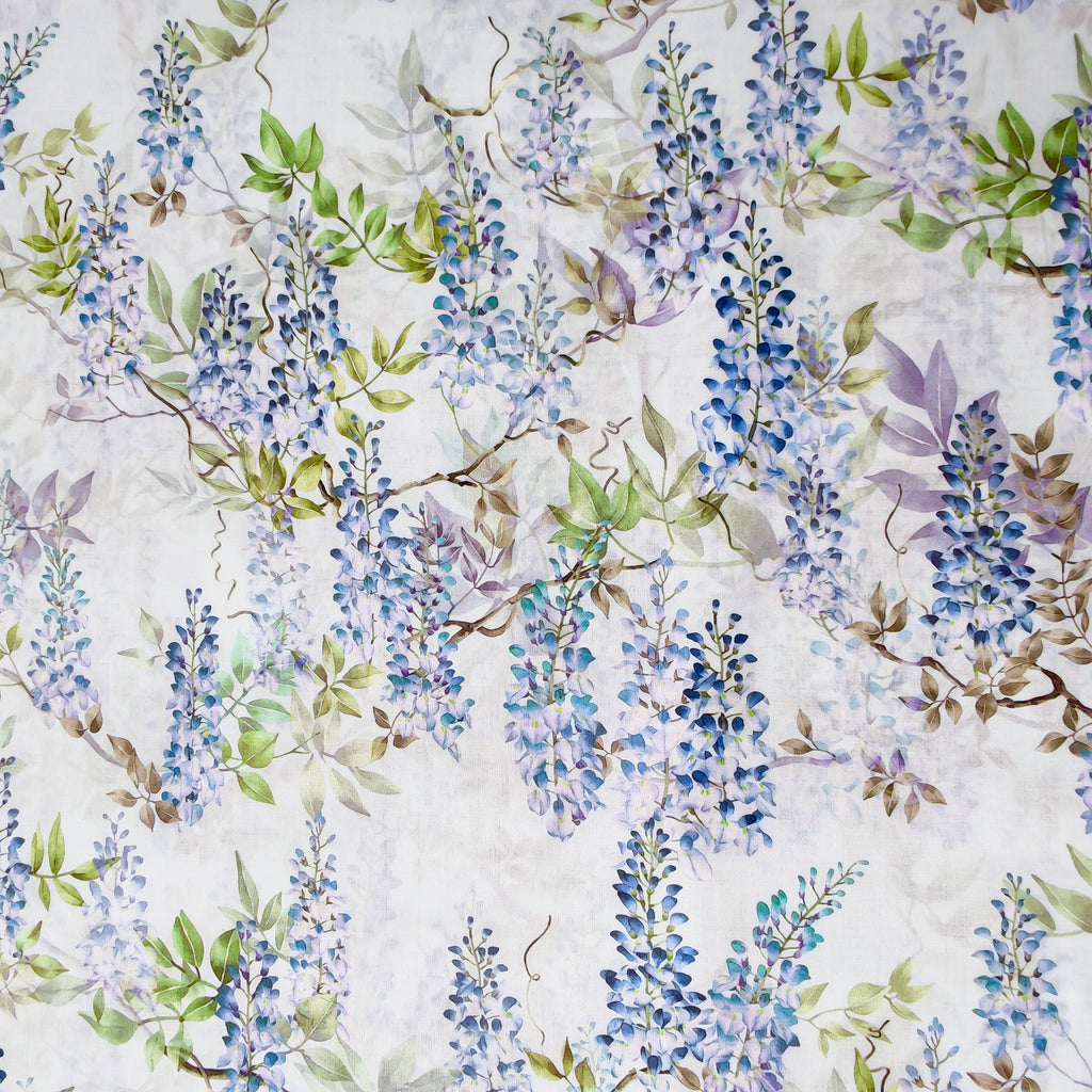 Wisteria Dream