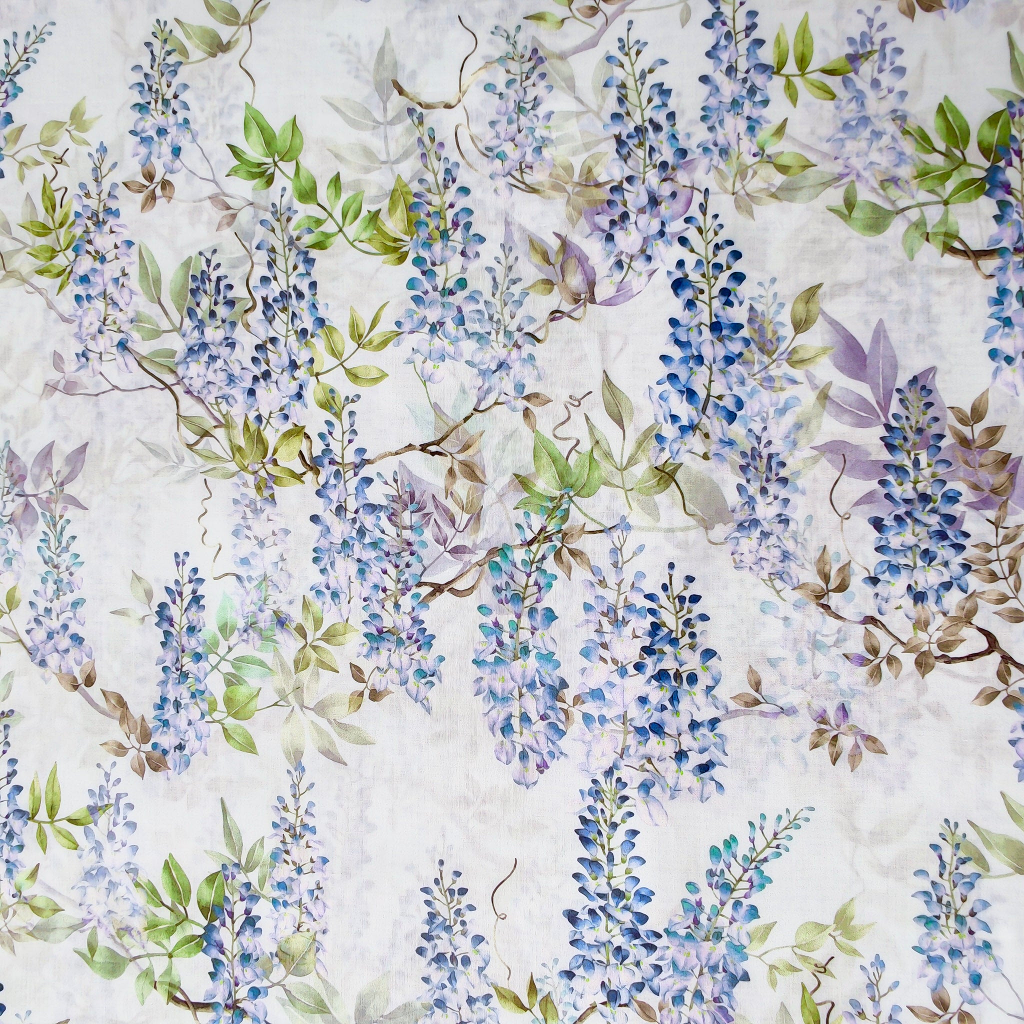 Wisteria Dream