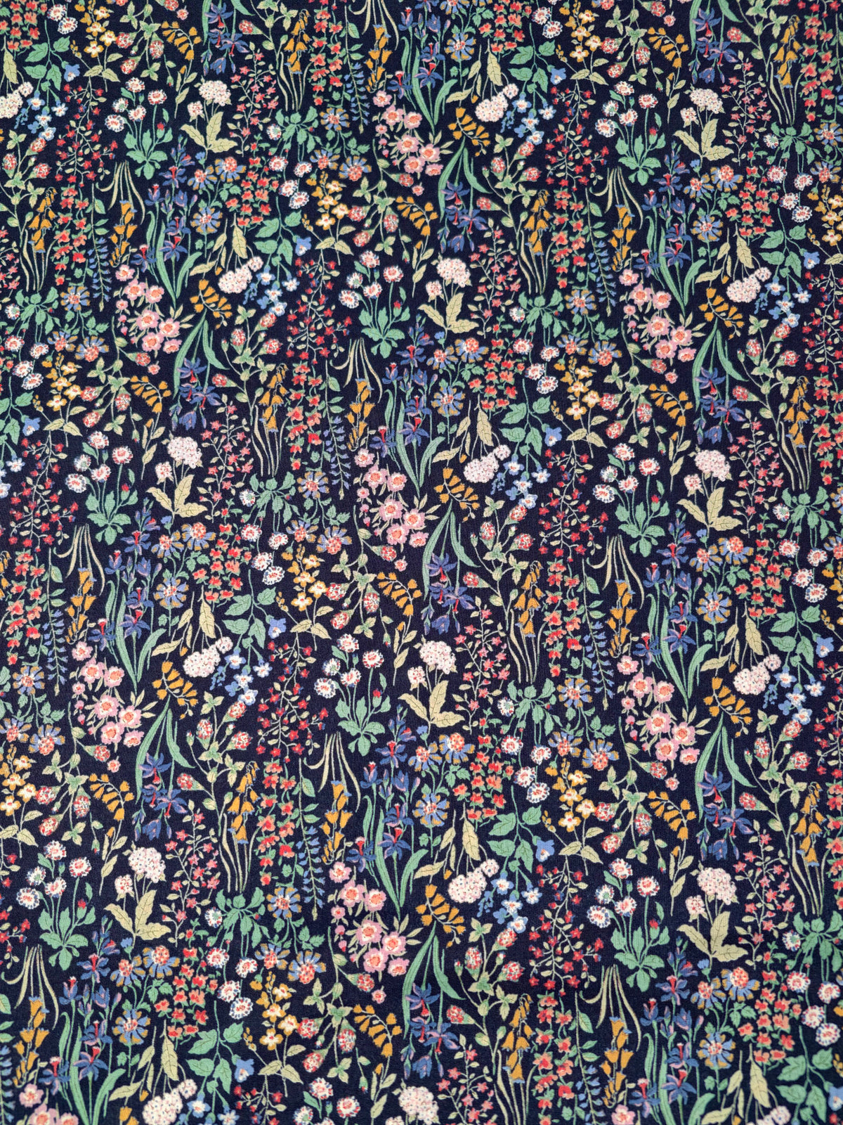 Night Garden