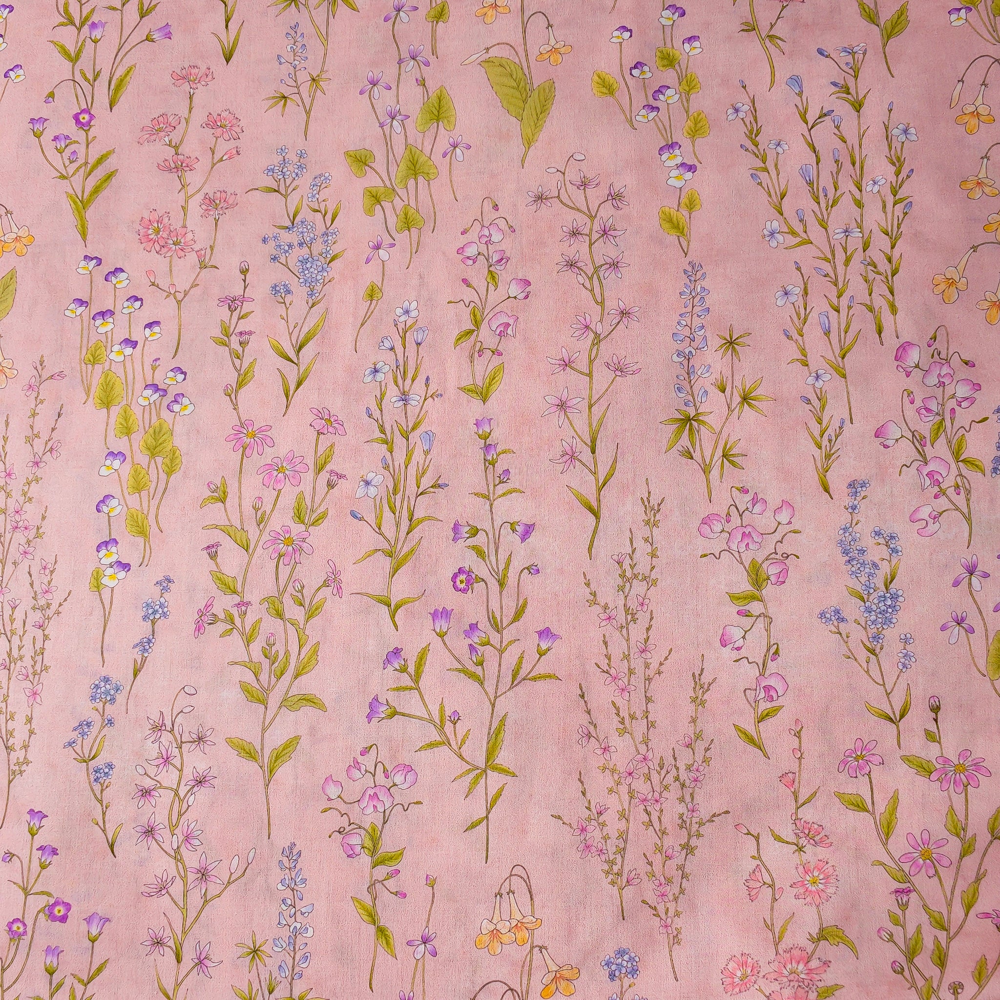 Botanical Study — Blush