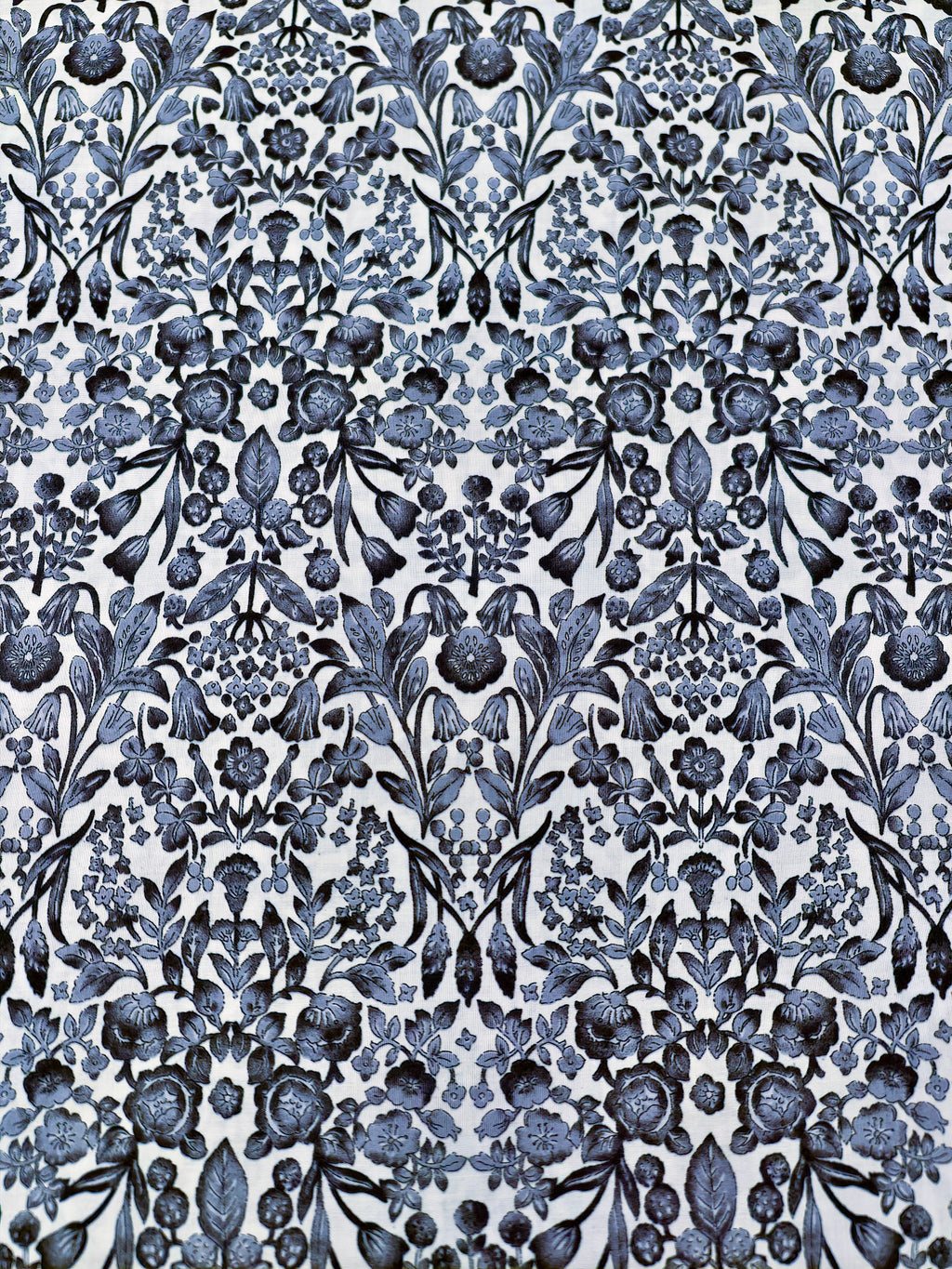 Damask Bloom