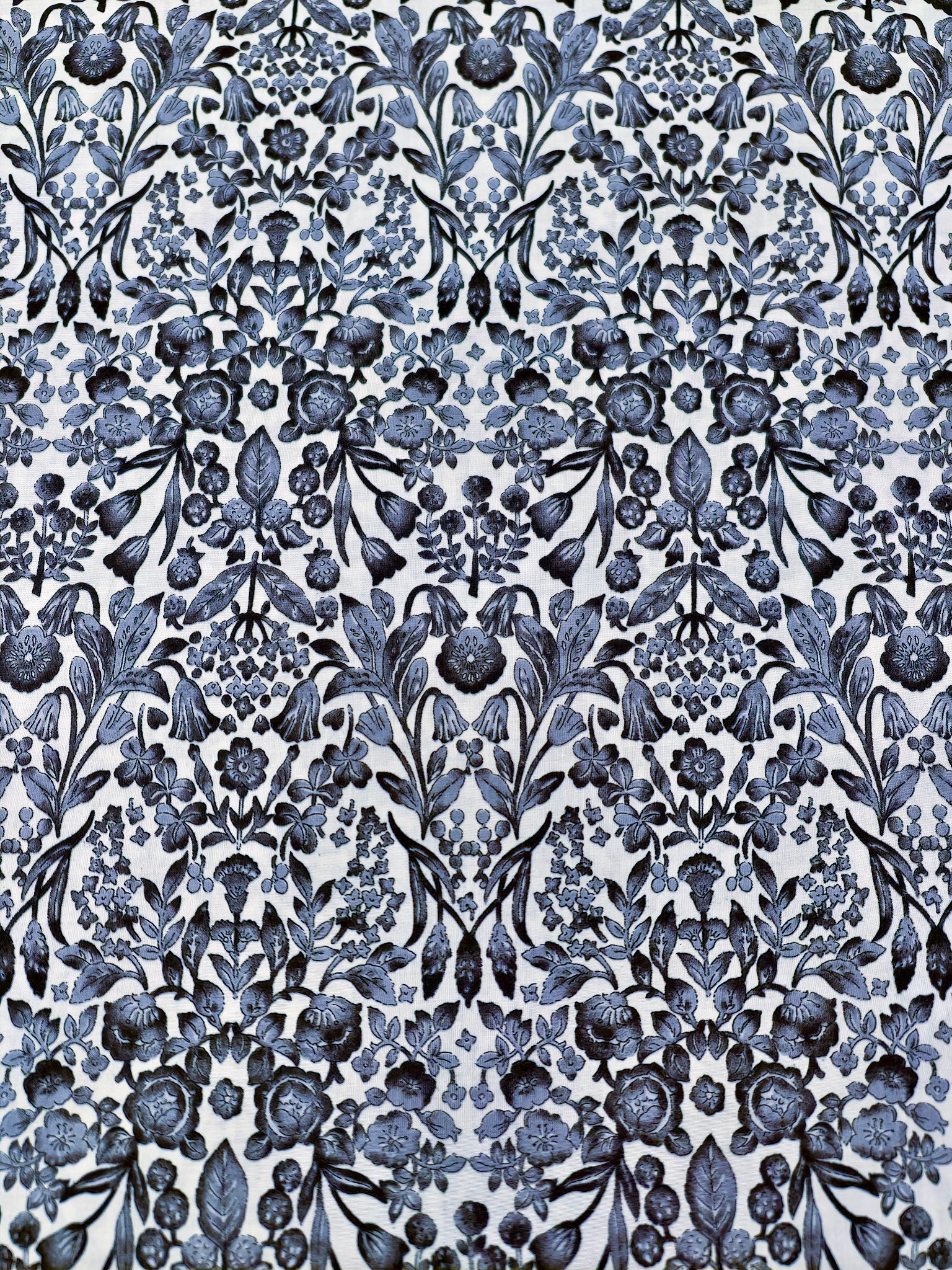 Damask Bloom