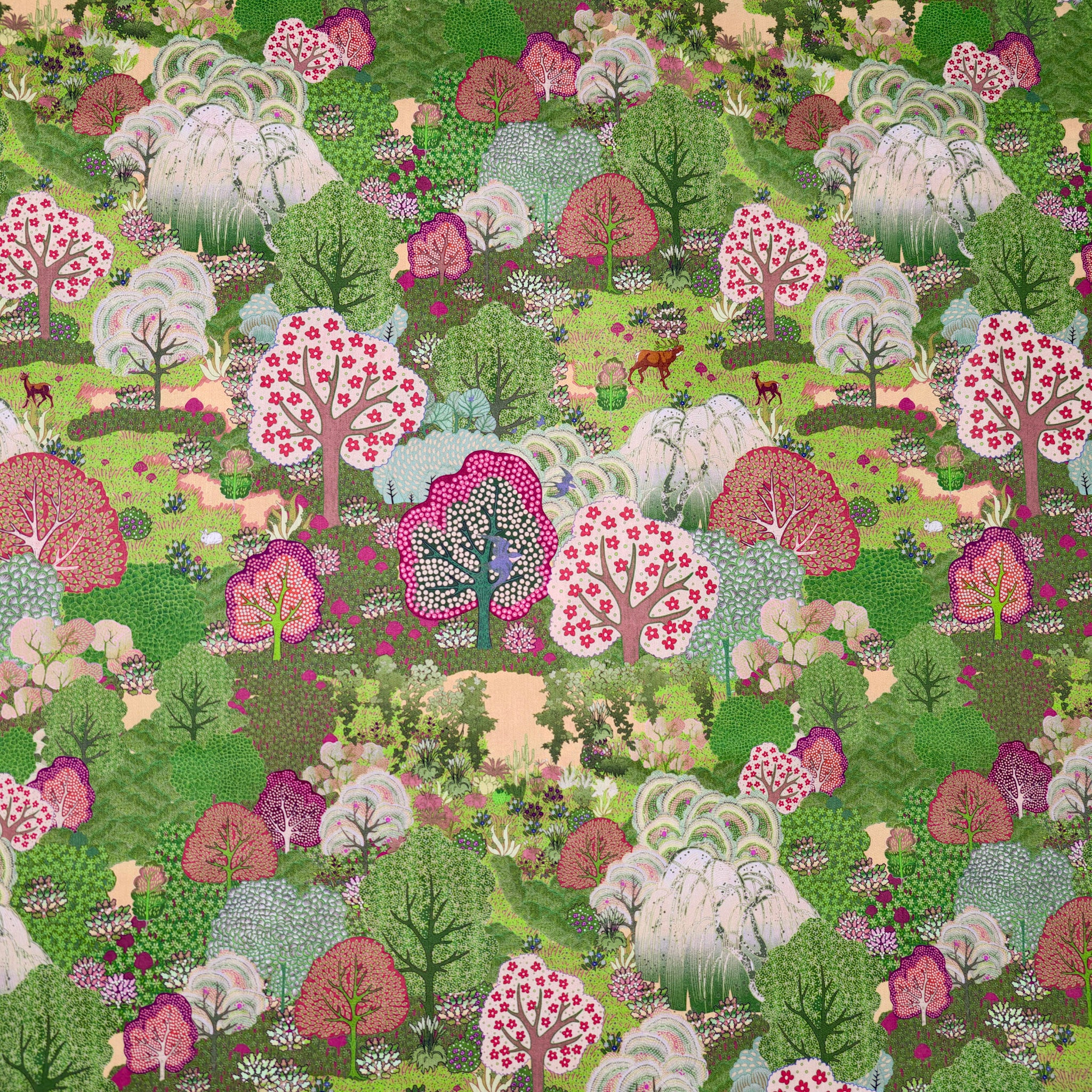 Enchanted Forest