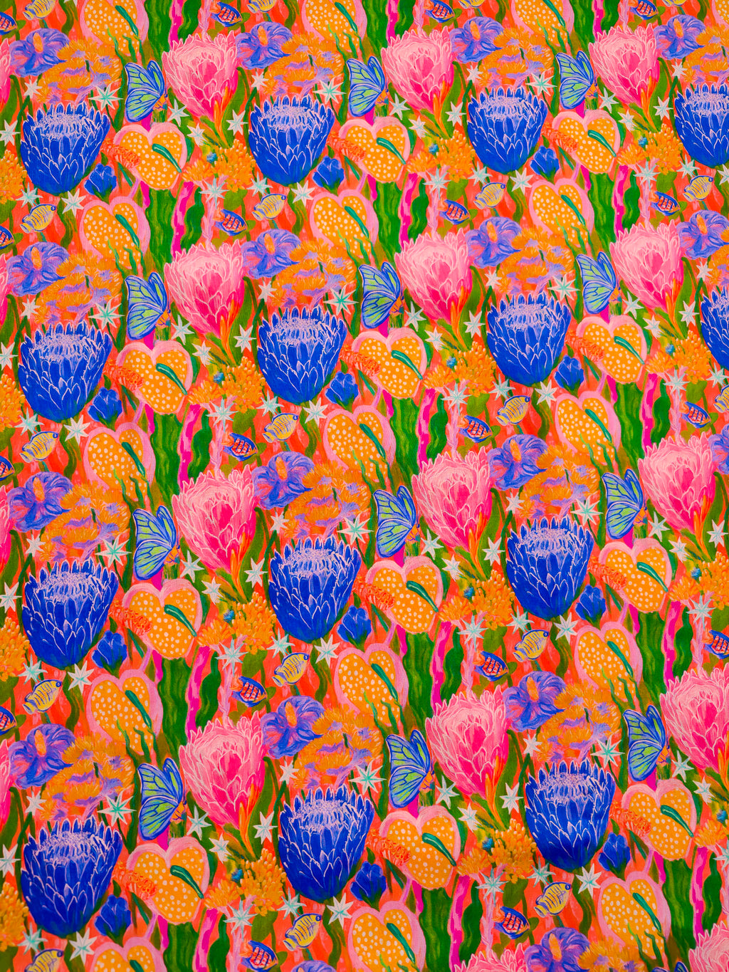 Coral Protea Dream
