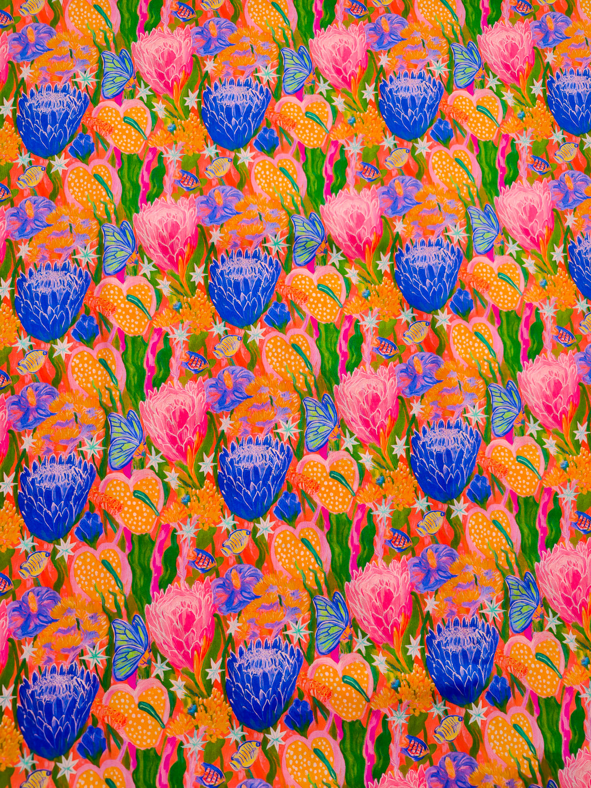 Coral Protea Dream