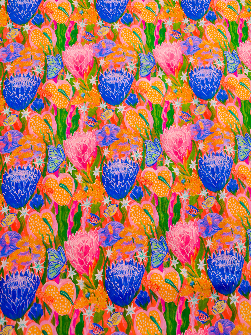 Coral Protea Dream