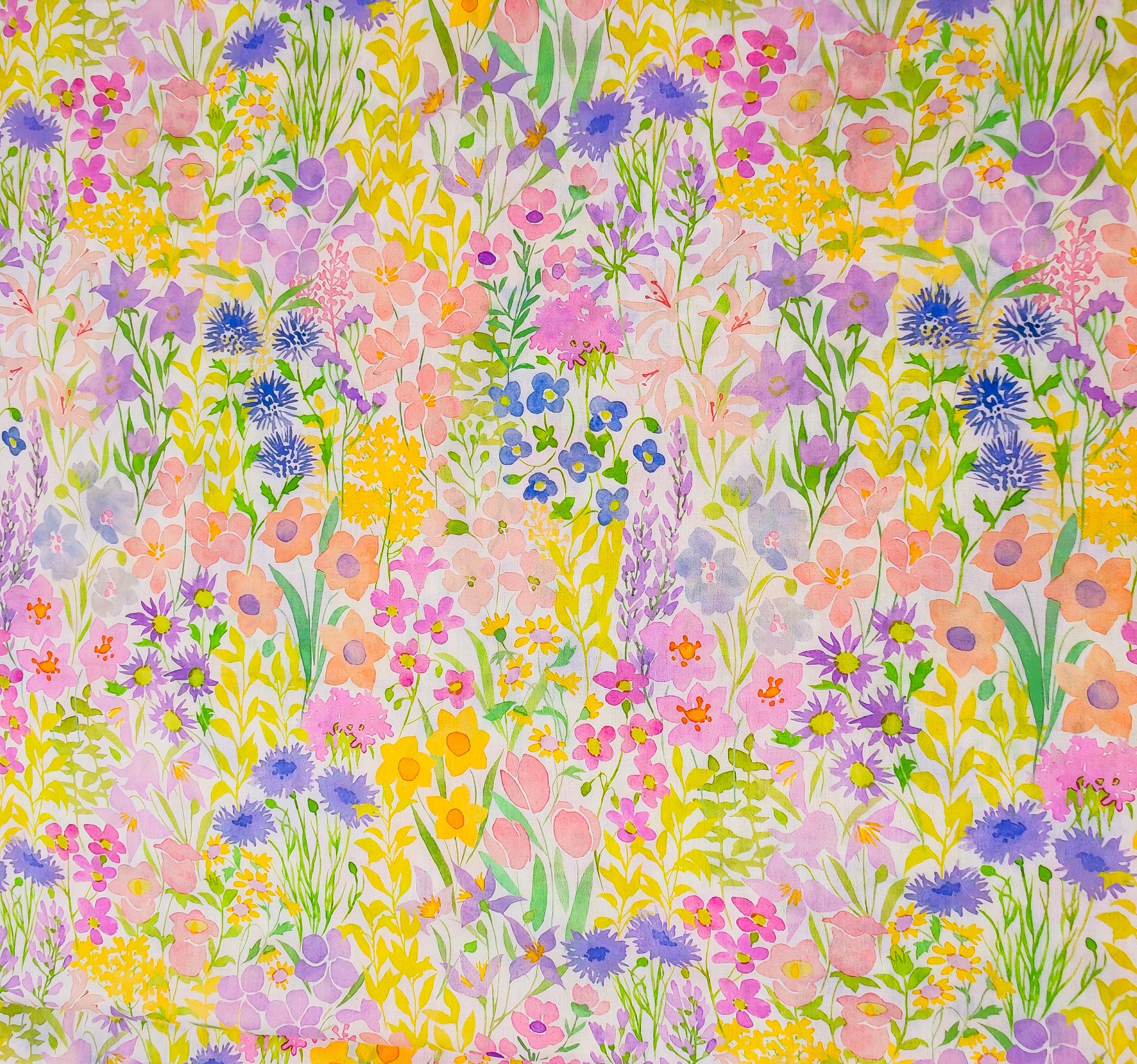 Wildflower Fields
